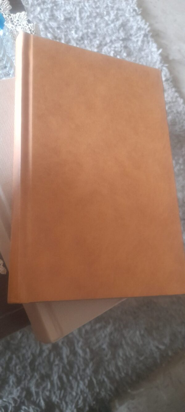 The Bank of Lebanon : central banking in a financial centre and entrepot / Abdul-Amir Badrud-Din