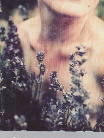 Lady Chatterley's Lover by D.H. Lawrence